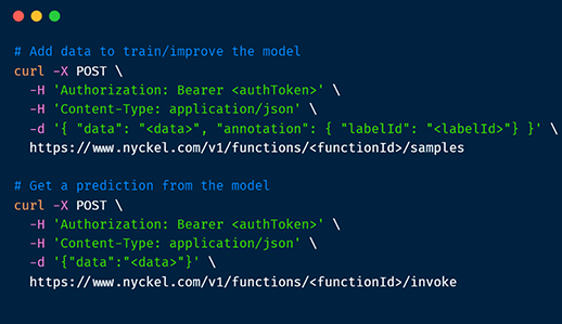 Explore the Nyckel API