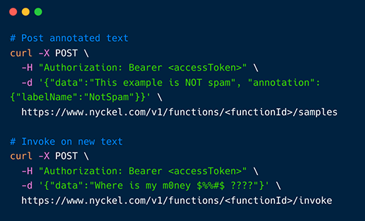 Explore the Nyckel API