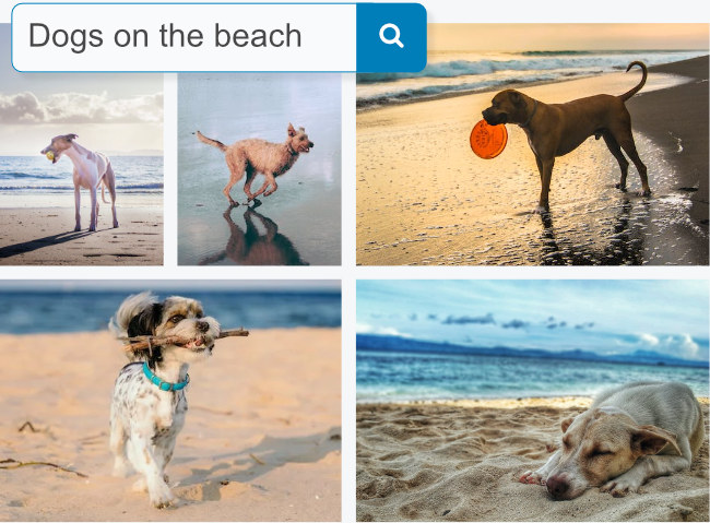 Search images using free-form text queries. No need to rely on previously extracted tags. 
            Nyckel searches the image content directly using cross-modal AI.