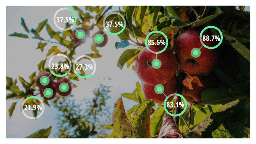 Train and deploy an object detector in a few minutes. Upload images and annotate directly in the browser.