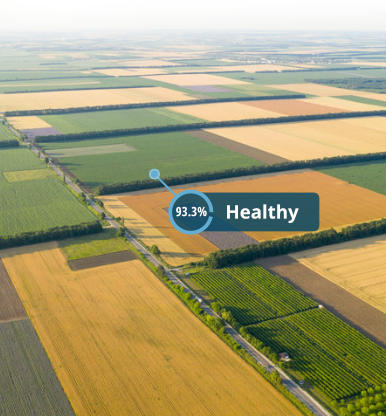 Crop Monitoring