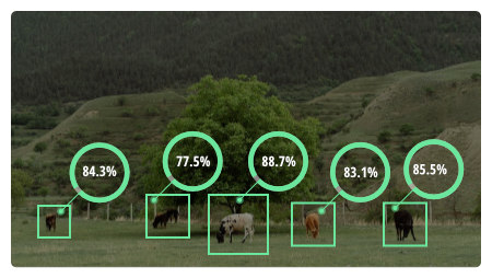 Image detection