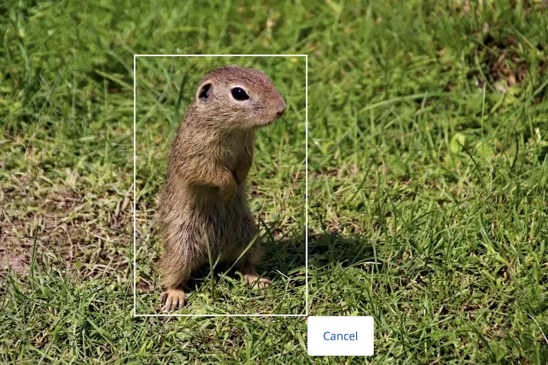 bounding box annotation example