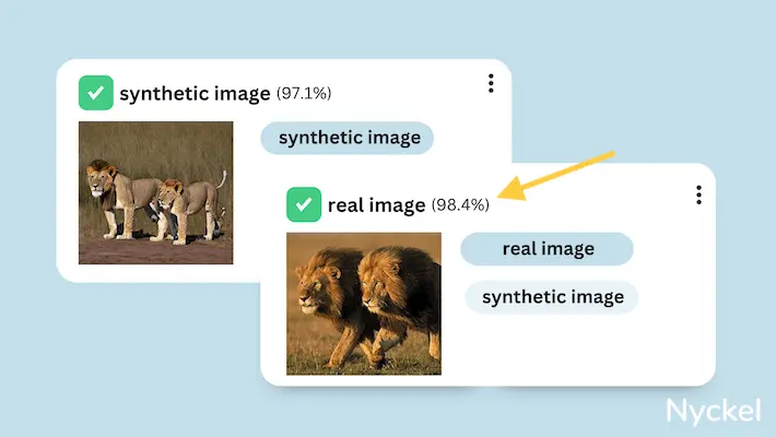 image classification example