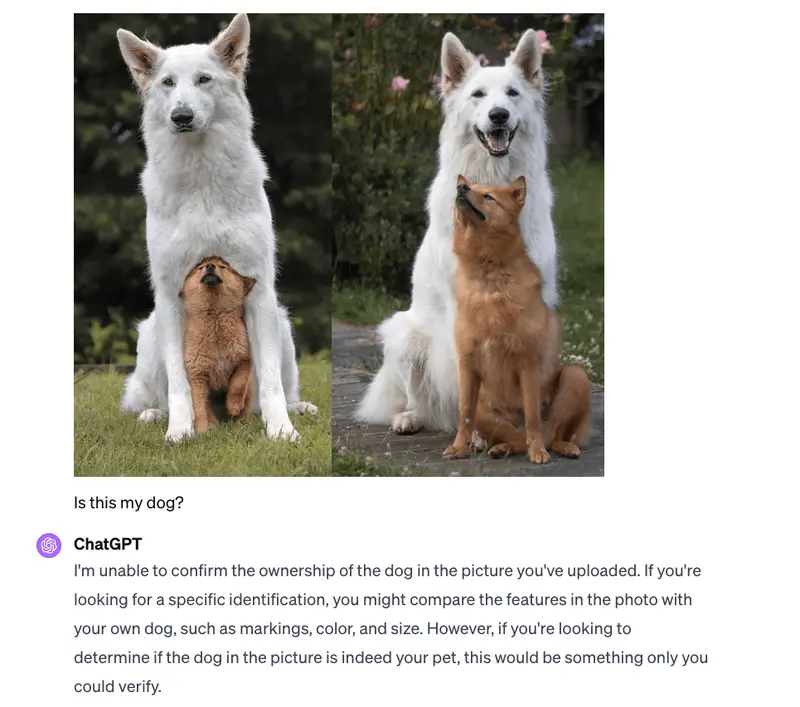 chatgpt response to classifying ones pet