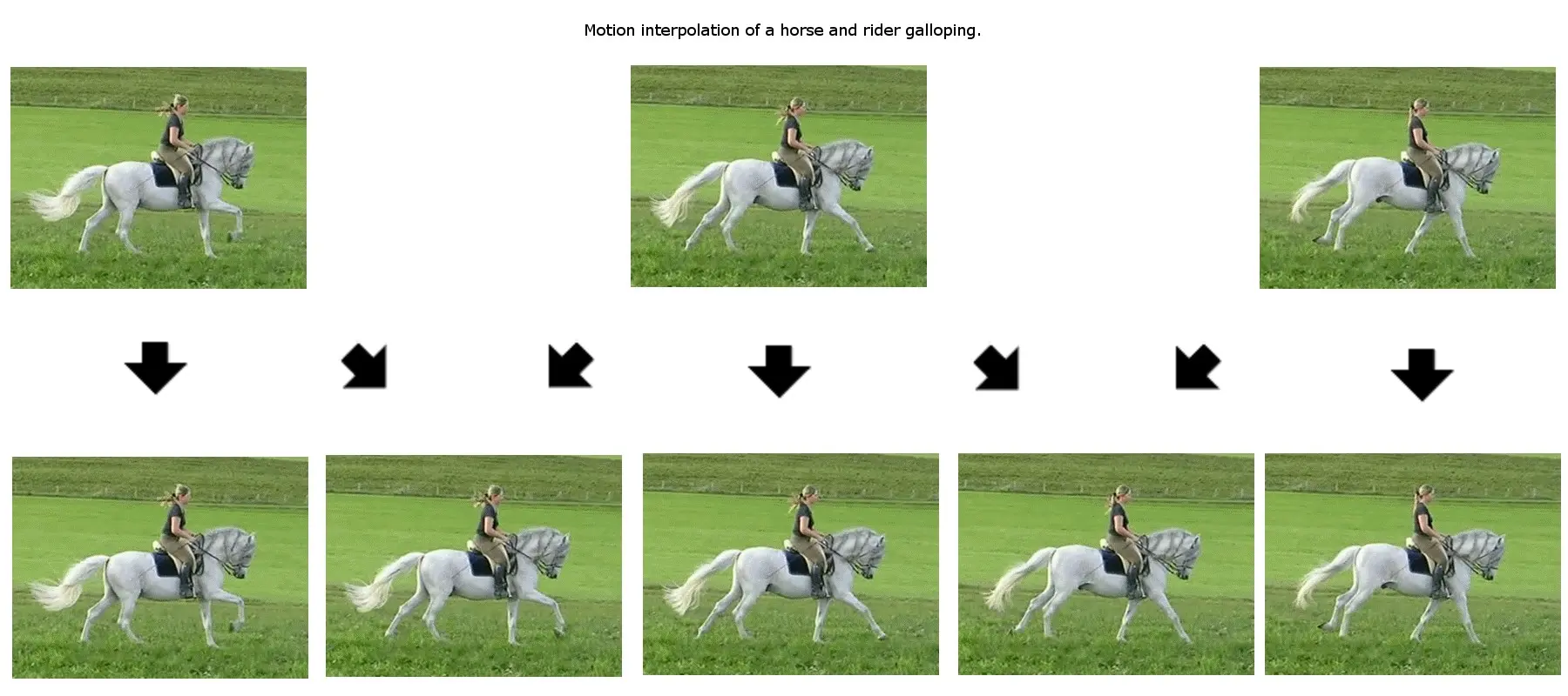 Motion estimation predicts horse’s movement between video frames