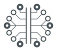 Custom AI