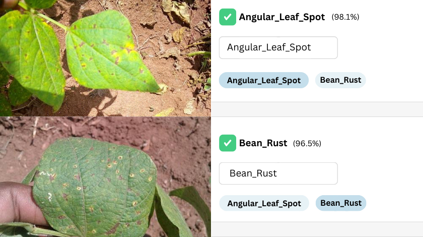 Detect plant disease with image classification