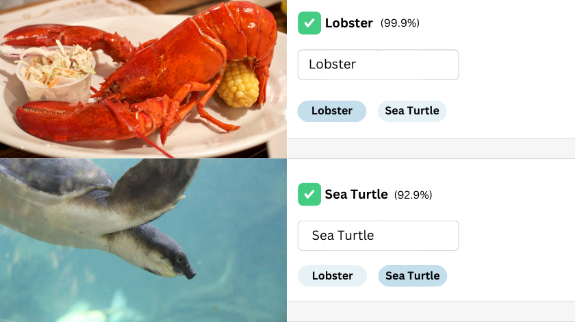 Identify marine animal with image classification
