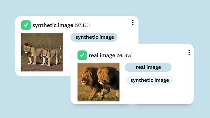 image classification example