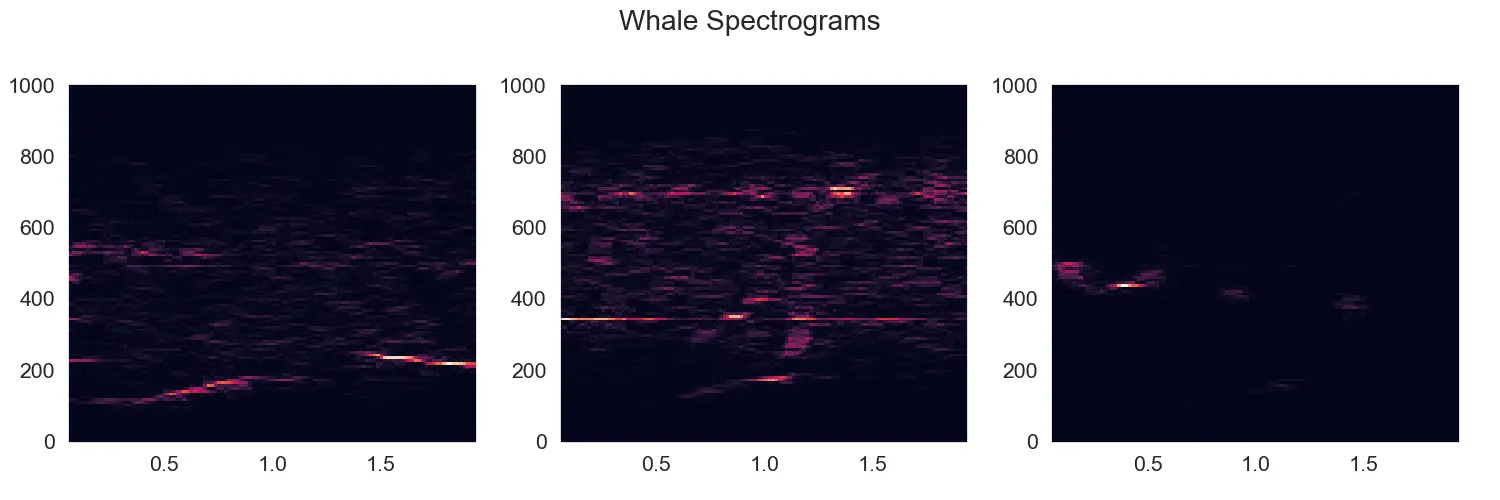 Three example spectrograms of a right whale call