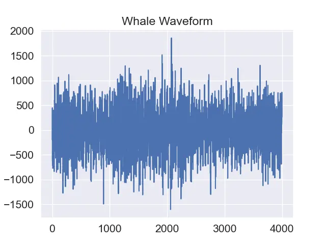 A waveform plot of a right whale call