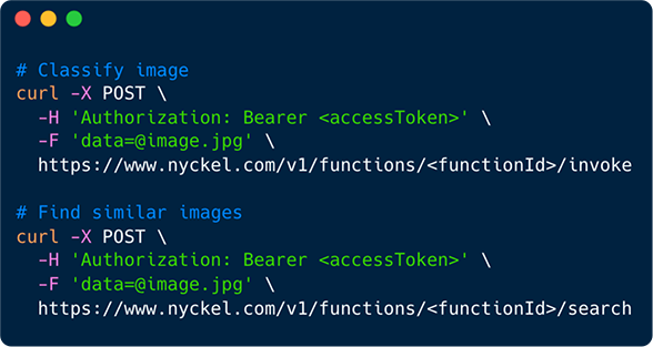 Explore the Nyckel API